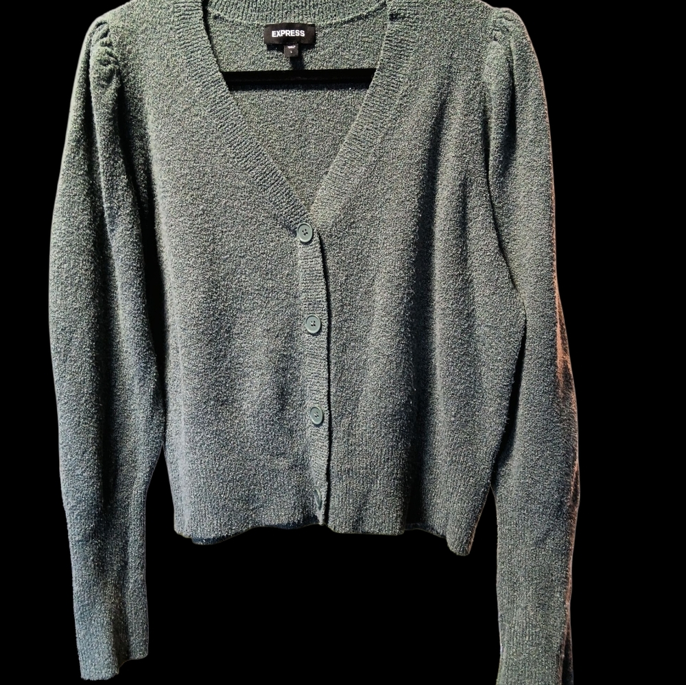 Express Sage Green Cardigan Sweater